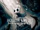 Hollow Knight